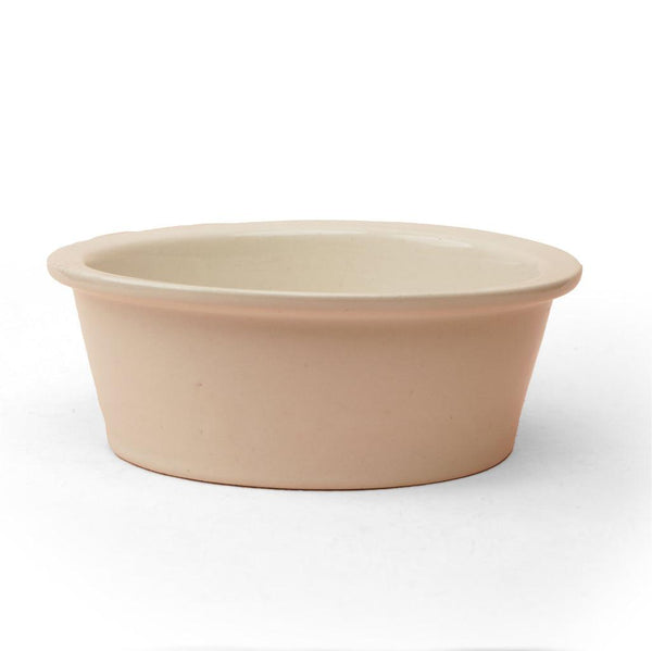 Paws & Sips Pet Bowl