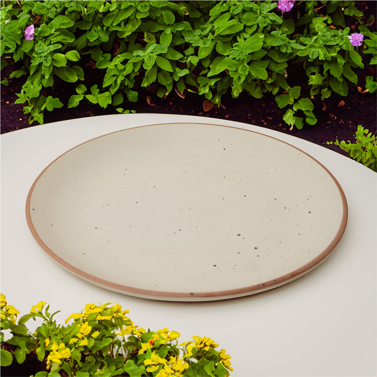 Claymistry Ceramic Quarter Plate Combo | Set of 2 | Biege with brown dots and borders | Ceramic Combos | Dinner Plates | Crockery | Dinnerware