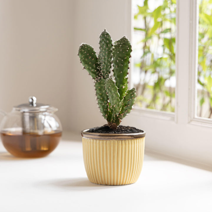 Display image of Handcrafted Top Trimmed ceramic planter with a ribbed texture in a warm yellow tone and a brown rim, designed for indoor use. 