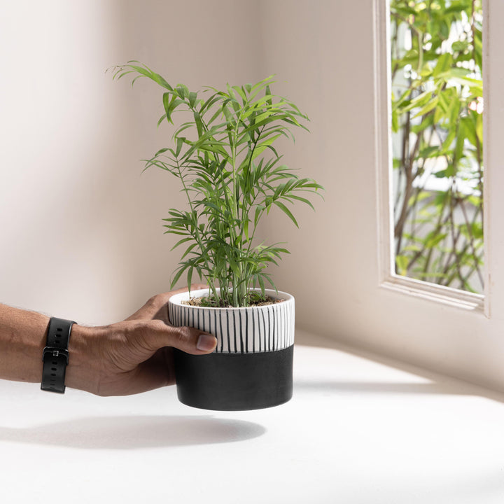 Display image of Black and white ceramic planter with vertical stripe detailing on the upper half and a smooth matte finish.