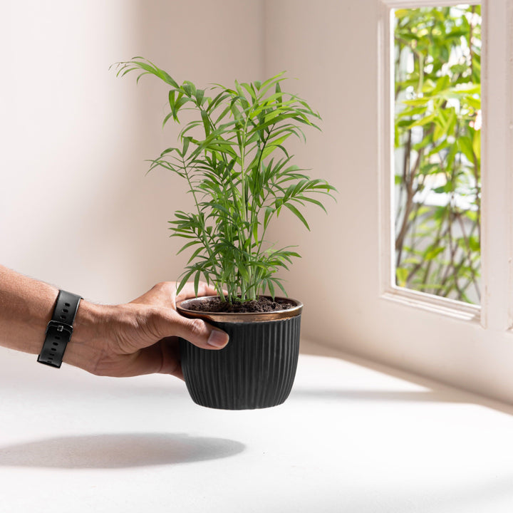 Display image of Handcrafted Top Trimmed ceramic planter with a ribbed texture in a black tone and a black rim, designed for indoor use.