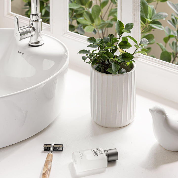 Display image of Potted green plant in a white ribbed ceramic planter placed near a window with natural light.