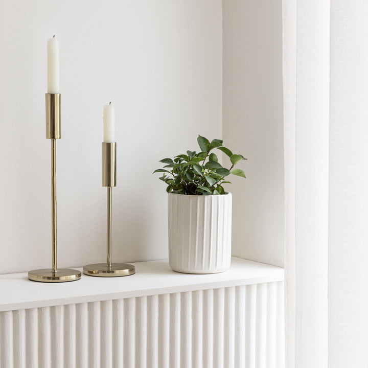 Display image of Potted green plant in a white ribbed ceramic planter placed near a window with natural light.