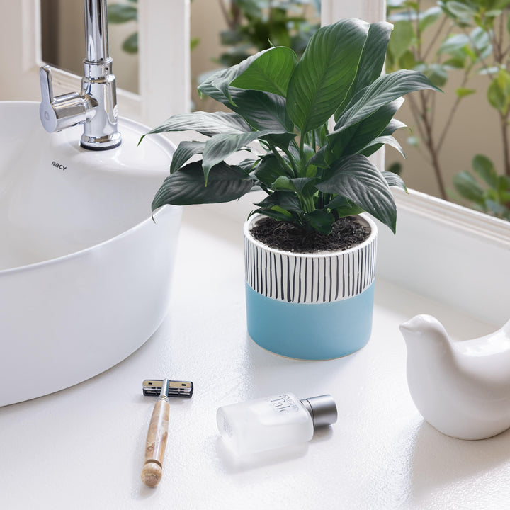 Display image of blue and white ceramic planter with vertical stripe detailing on the upper half and a smooth matte finish.