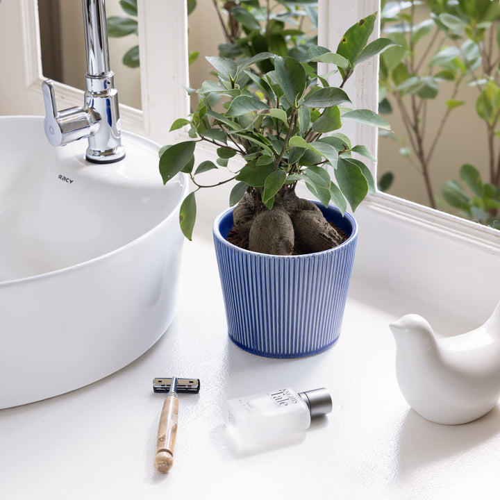 Stylish indoor plant in a blue ceramic planter next to a modern bathroom sink, razor, and skincare bottle, adding a touch of nature and elegance to a contemporary bathroom setup.