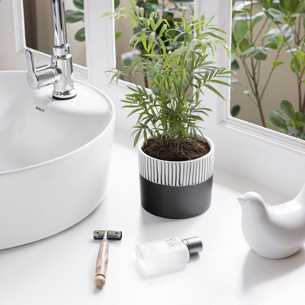 Display image of Stripe Hype: The Two-Tone Planter – Handmade black and white ceramic planter featuring bold stripe detailing and a modern two-tone finish, offering high durability and an easy-to-clean surface, perfect for enhancing your living space while providing a stylish home for your plants.