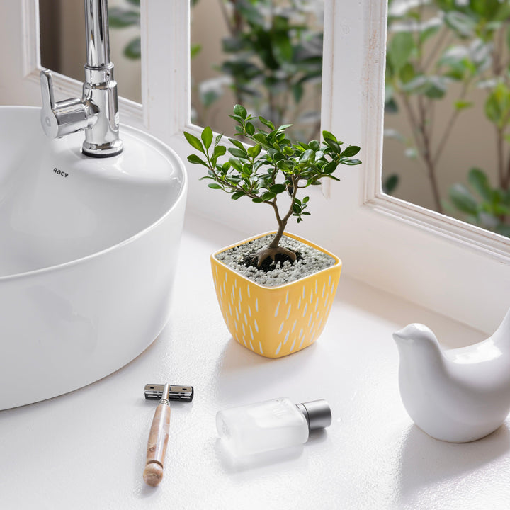 Display image of Splash of Style: The Raindrop Planter - Handmade yellow ceramic raindrop planter featuring a playful design, high-quality durable construction, and non-slip base, perfect for showcasing a variety of plants while adding a vibrant touch of color and whimsy to your home décor.