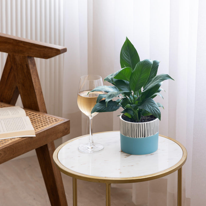 Display image of blue and white ceramic planter with vertical stripe detailing on the upper half and a smooth matte finish.