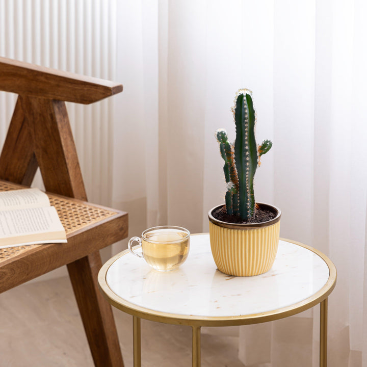 Display image of Handcrafted Top Trimmed ceramic planter with a ribbed texture in a warm yellow tone and a brown rim, designed for indoor use.