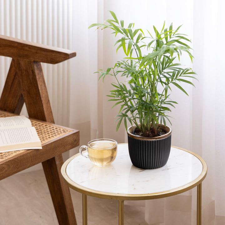 Display image of Handcrafted Top Trimmed ceramic planter with a ribbed texture in a black tone and a black rim, designed for indoor use.