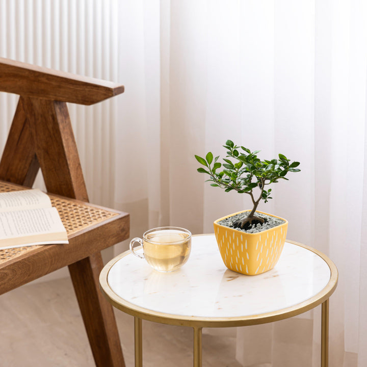 Display image of Splash of Style: The Raindrop Planter - Handmade yellow ceramic raindrop planter featuring a playful design, high-quality durable construction, and non-slip base, perfect for showcasing a variety of plants while adding a vibrant touch of color and whimsy to your home décor.