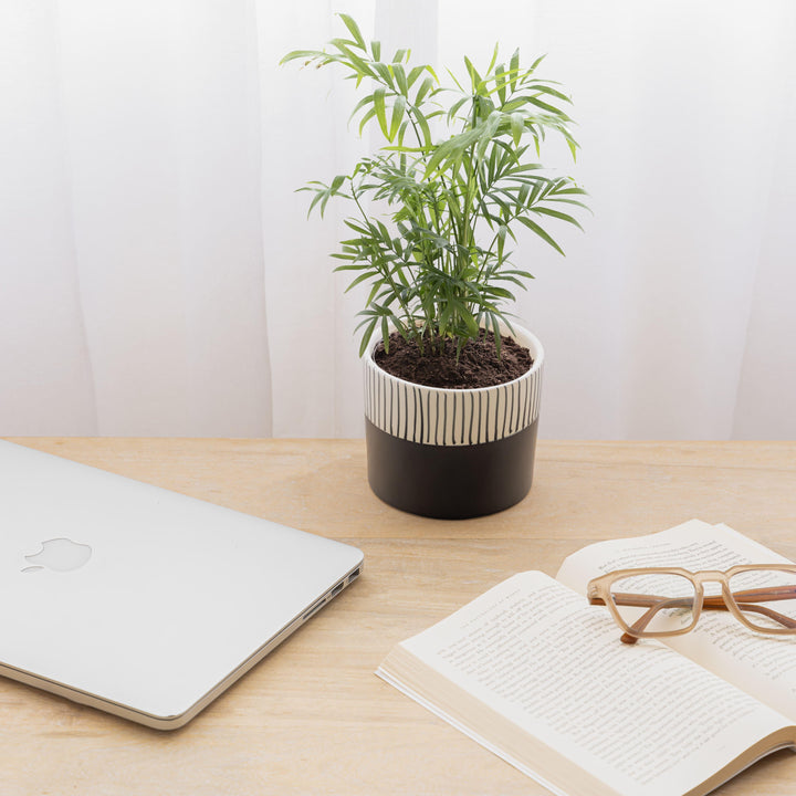 Display image of Black and white ceramic planter with vertical stripe detailing on the upper half and a smooth matte finish.