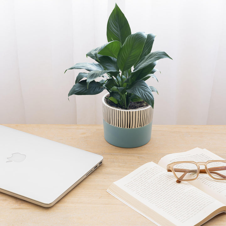 Display image of blue and white ceramic planter with vertical stripe detailing on the upper half and a smooth matte finish.