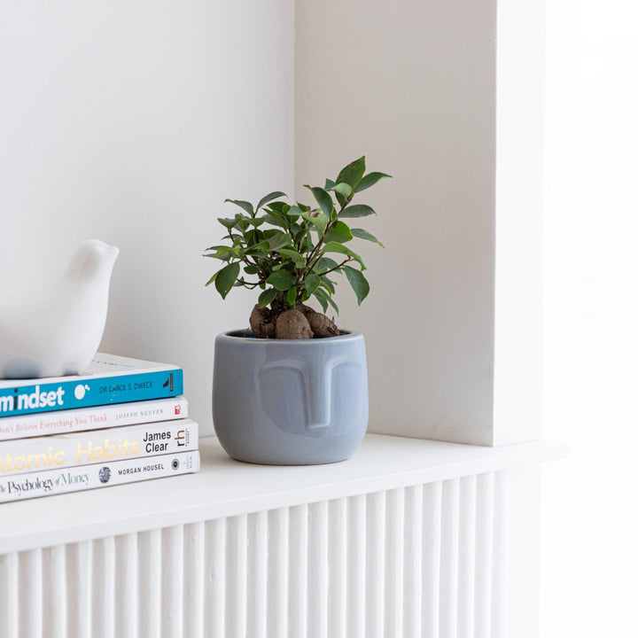 Display image of blue grey ceramic planter with a minimalist face design and a smooth matte finish.