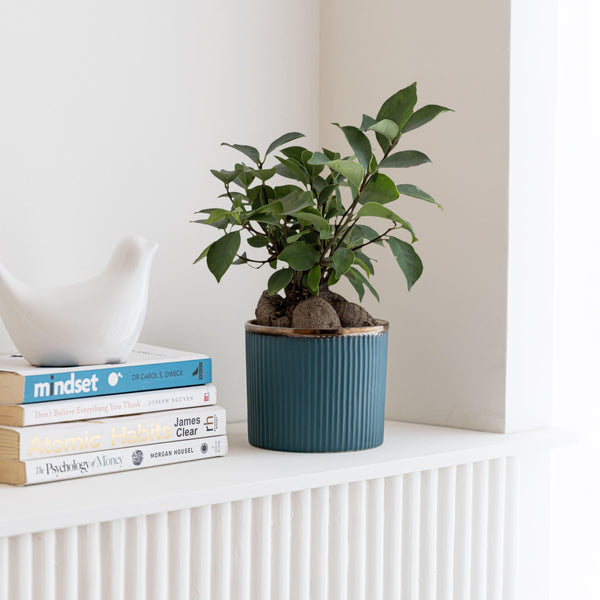 Top Trimmed, Fully Textured: The Cylinder Planter