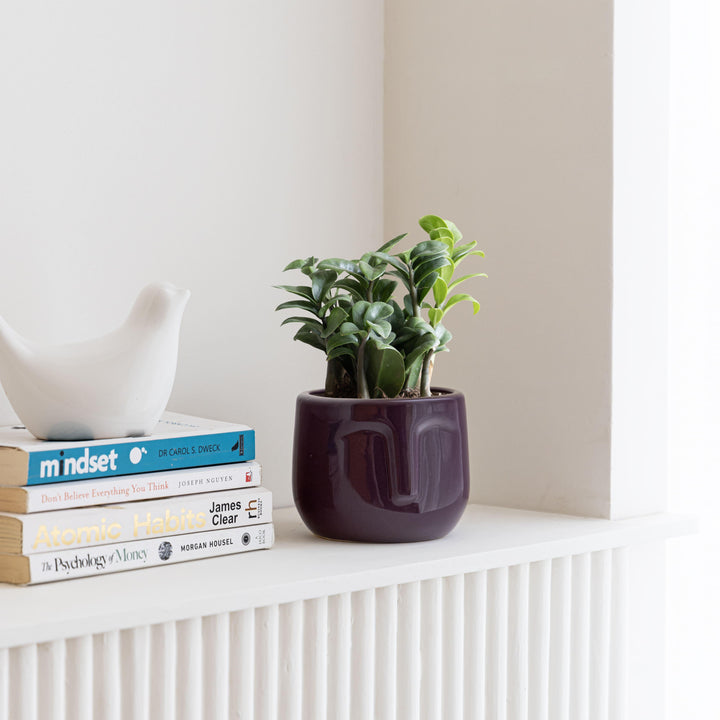 Display image of plum ceramic planter with a minimalist face design and a smooth matte finish.