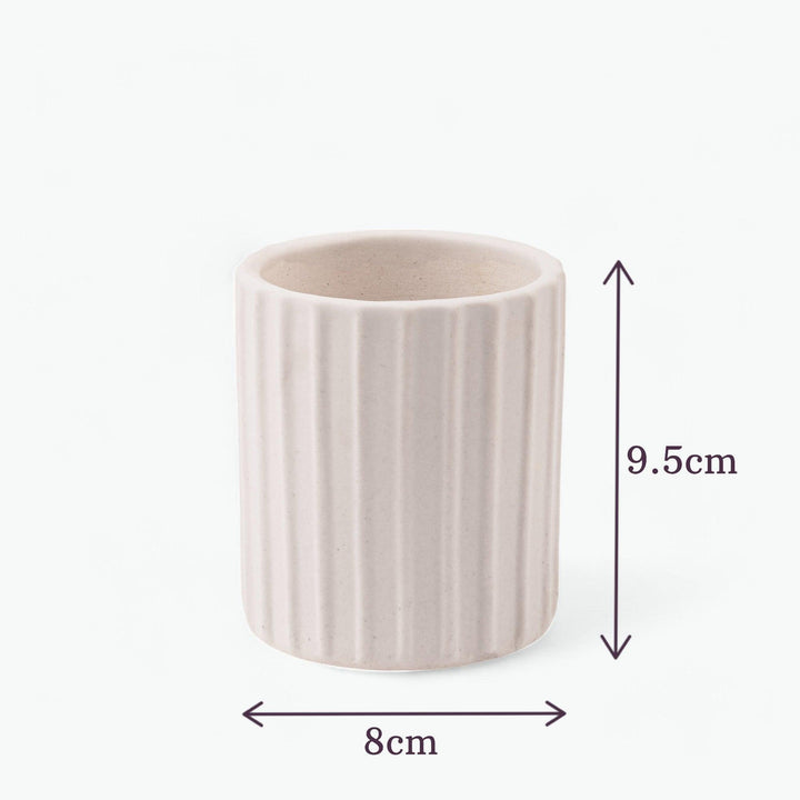 Display image of a white ribbed ceramic planter placed near a window with natural light.