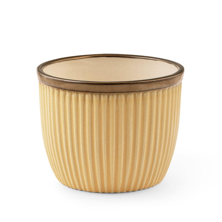 Display image of Handcrafted Top Trimmed ceramic planter with a ribbed texture in a warm yellow tone and a golden rim, designed for indoor use.