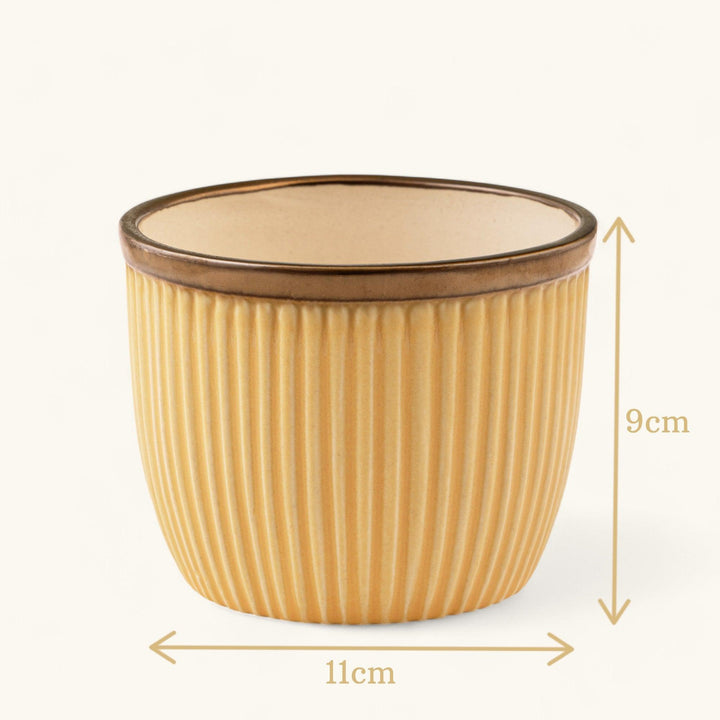 Handcrafted ceramic planter with a ribbed texture in a warm yellow tone and a brown rim, designed for indoor use.