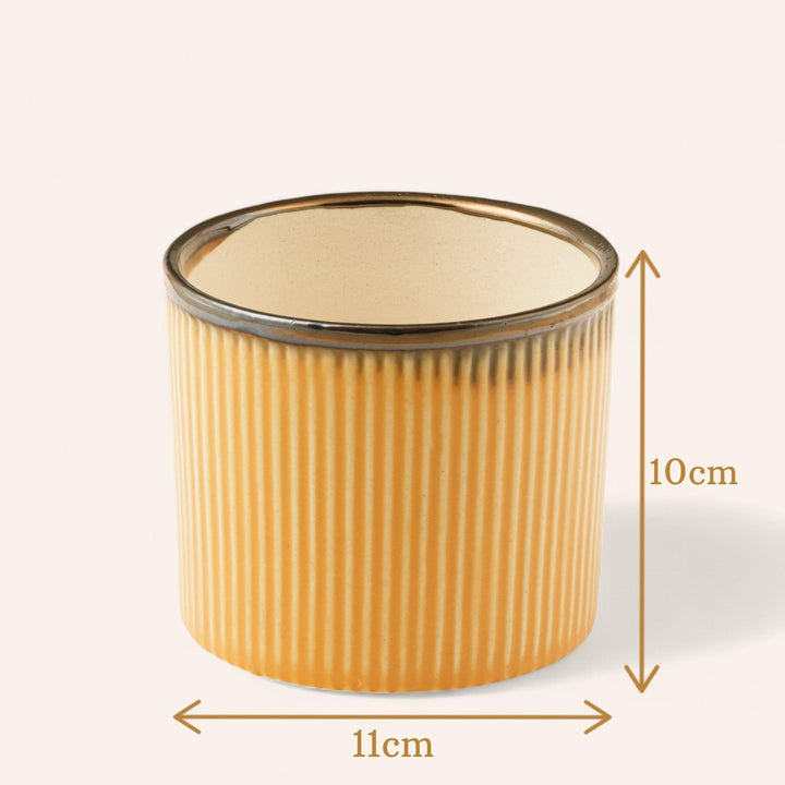 Display image of sunset yellow  ceramic planter with a ribbed texture and brown rim, featuring a matte finish.