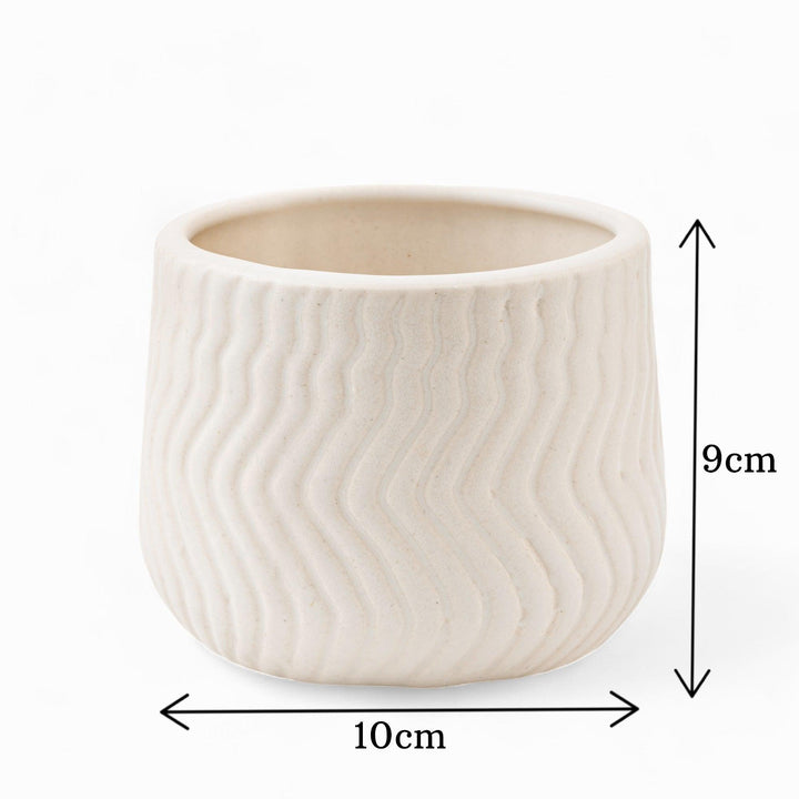 Display image of chalk white  ceramic planter with a wavy textured pattern and matte finish.