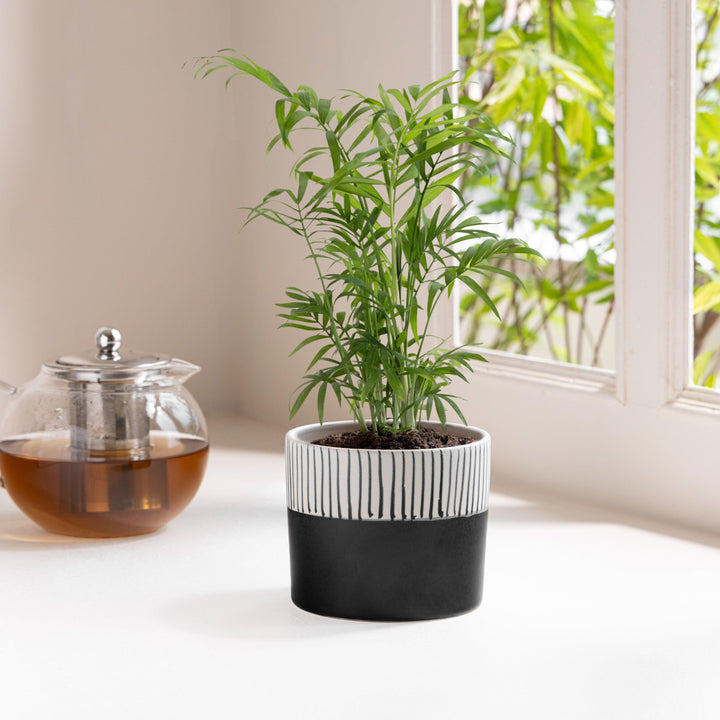 Display image of Black and white ceramic planter with vertical stripe detailing on the upper half and a smooth matte finish.